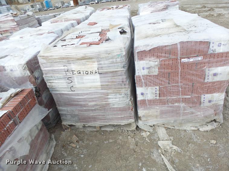 image for item DA9319 Endicott red blend bricks