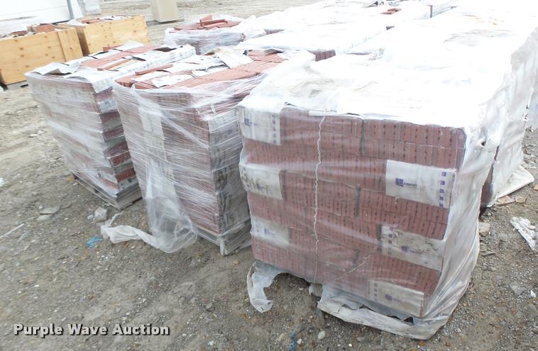 image for item DA9319 Endicott red blend bricks