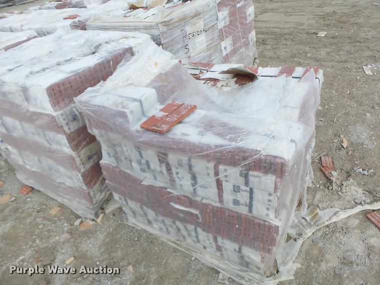 image for item DA9319 Endicott red blend bricks