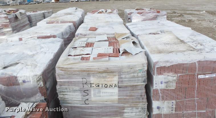 image for item DA9319 Endicott red blend bricks