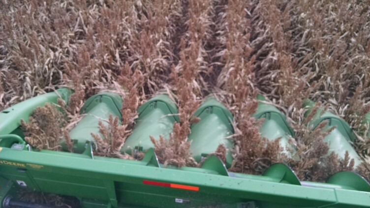 image for item DL9208 Kopper Kutters - 12 Units