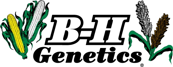 image for item DL9222 (5) bags of BH Genetics Sorghum Seed