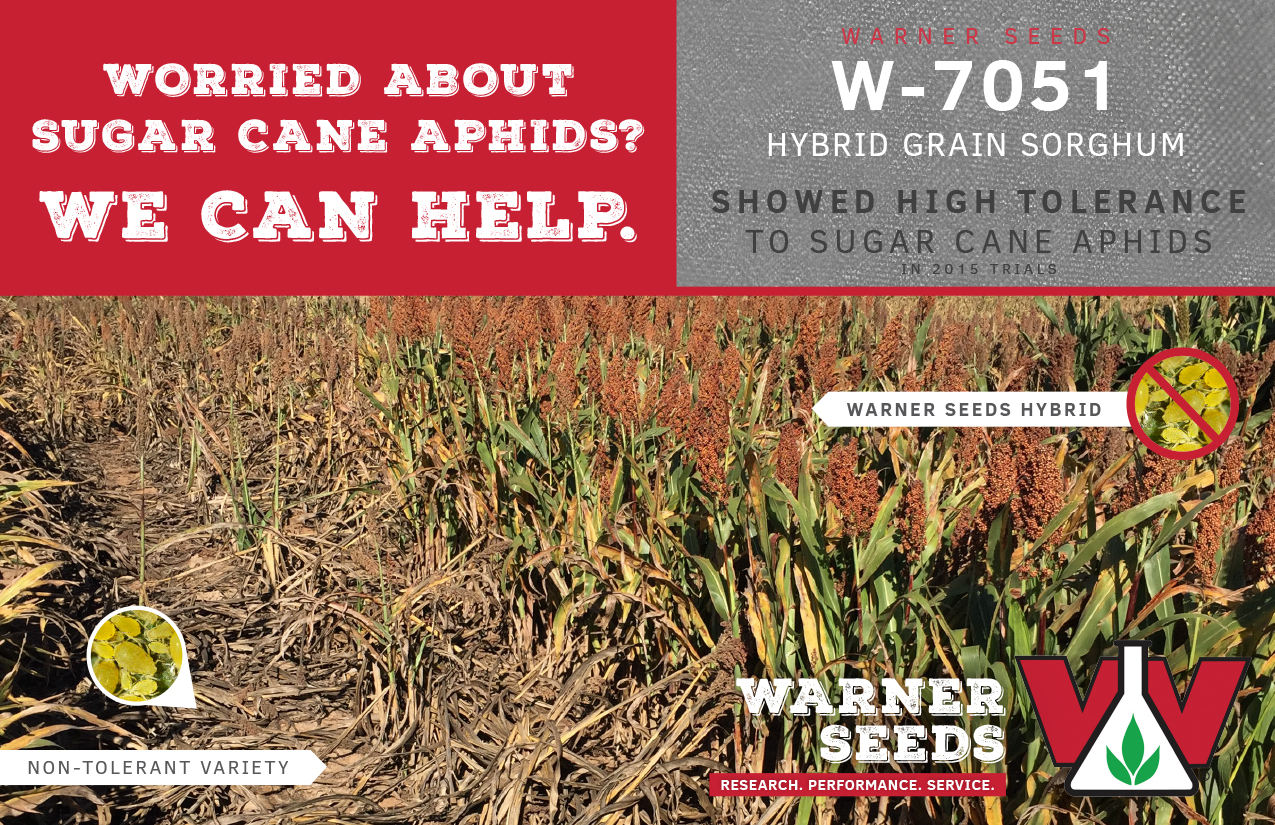 (2) bags of Warner Seed in San Antonio, TX Item DL9220 sold Purple Wave