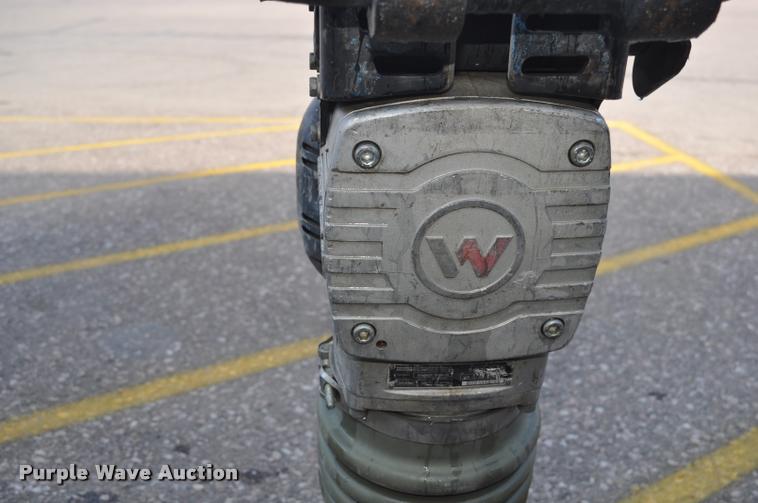 image for item L5164 Wacker Neuson BS60-2i plate compactor