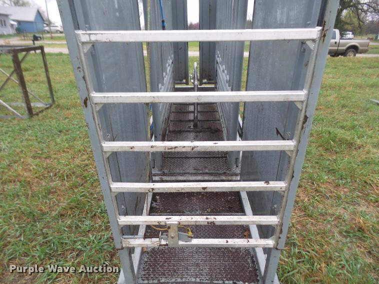 image for item DB0601 Pearson cattle chute