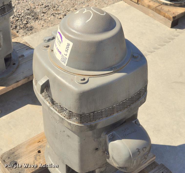 image for item L5206 (3) hollow shaft electric motors