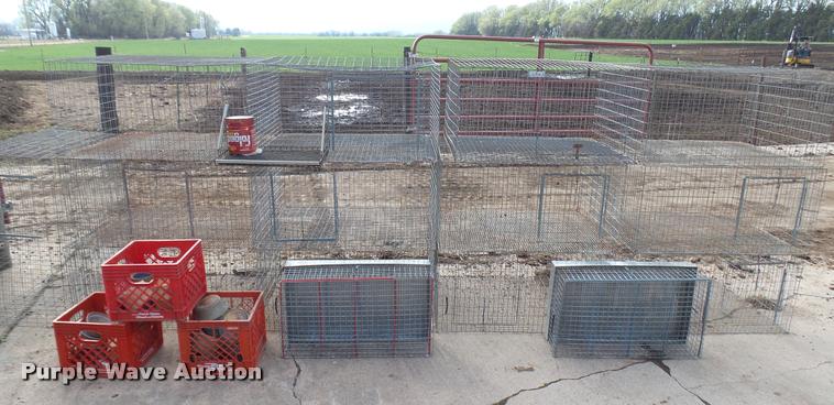 image for item DM9154 (30) livestock cages
