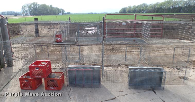 image for item DM9154 (30) livestock cages