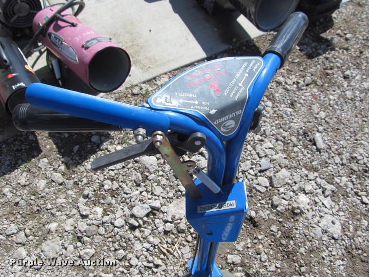 image for item K3847 Blue Bird Bed Bug edger