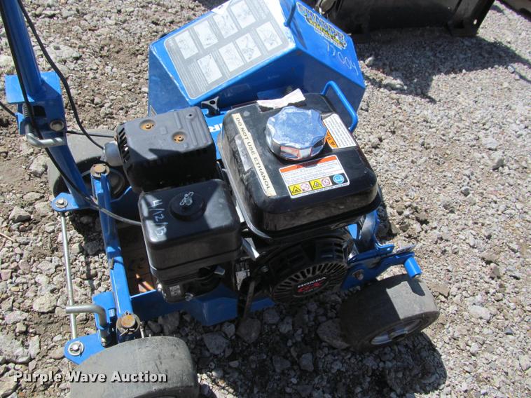 image for item K3847 Blue Bird Bed Bug edger