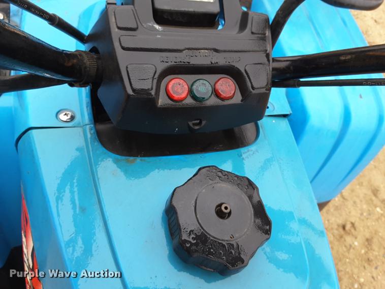 image for item DA6013 1988 Yamaha Big Bear 350 ATV