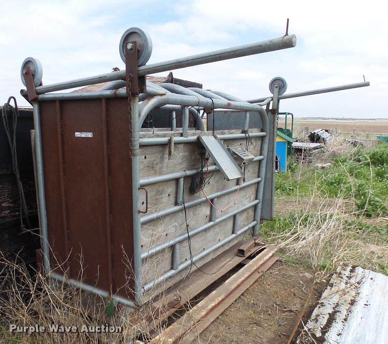 image for item DH9629 Cattle scale