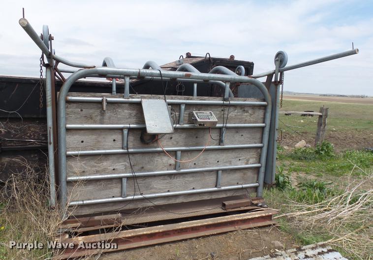 image for item DH9629 Cattle scale