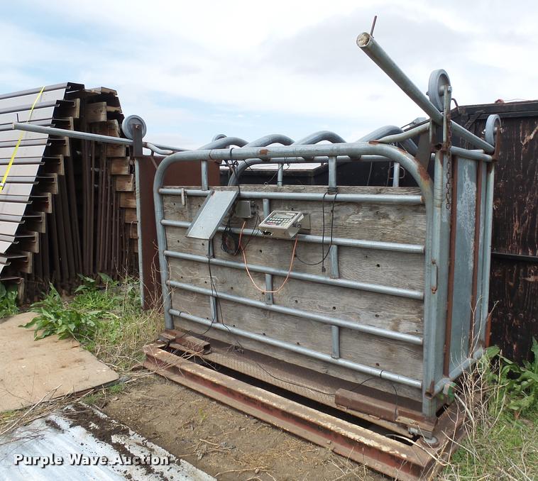 image for item DH9629 Cattle scale