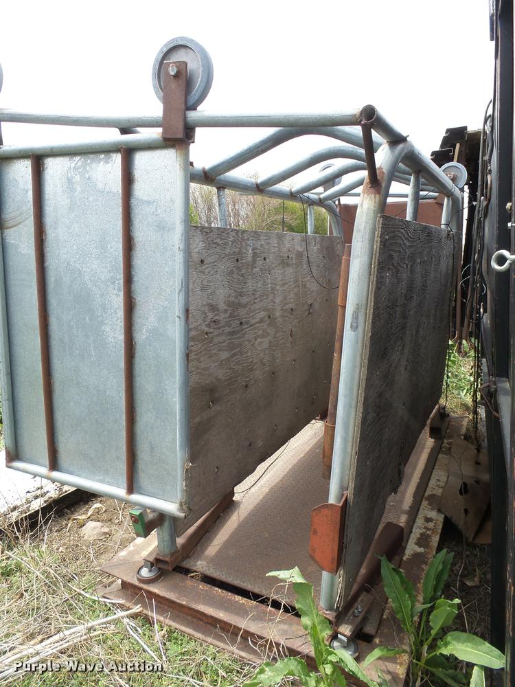 image for item DH9629 Cattle scale