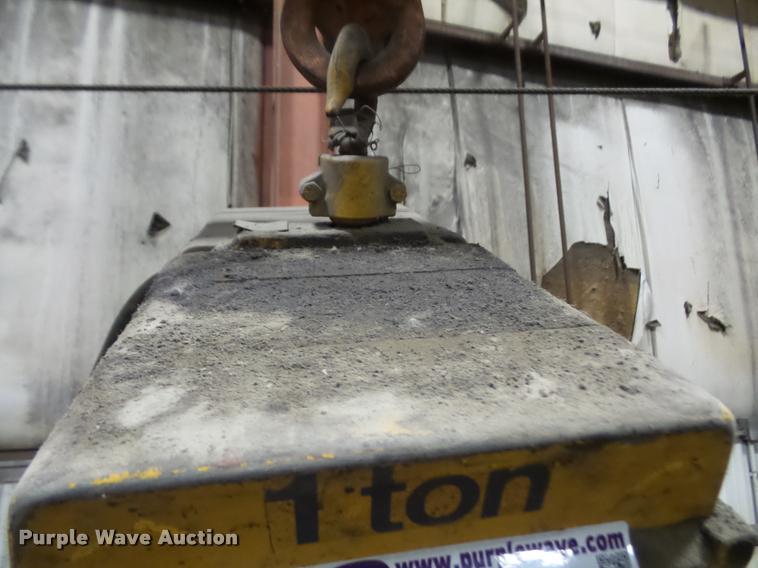 image for item DL9712 Acco electric chain hoist