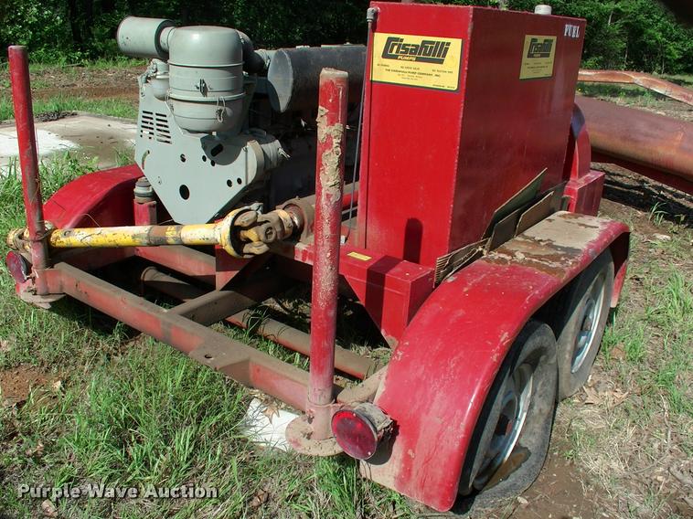 image for item DP9338 (2) Crisafulli pumps