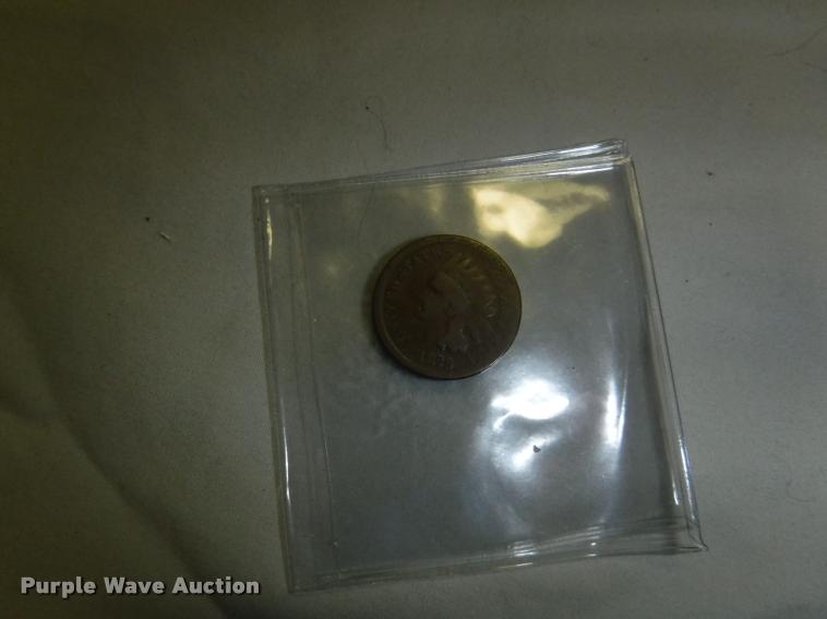 image for item CA9574 (9) Indian Head pennies