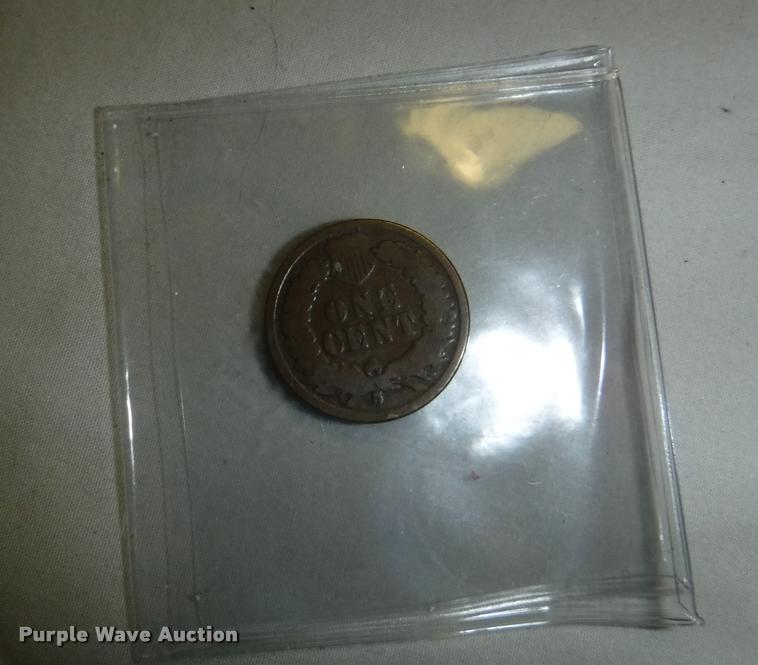 image for item CA9574 (9) Indian Head pennies