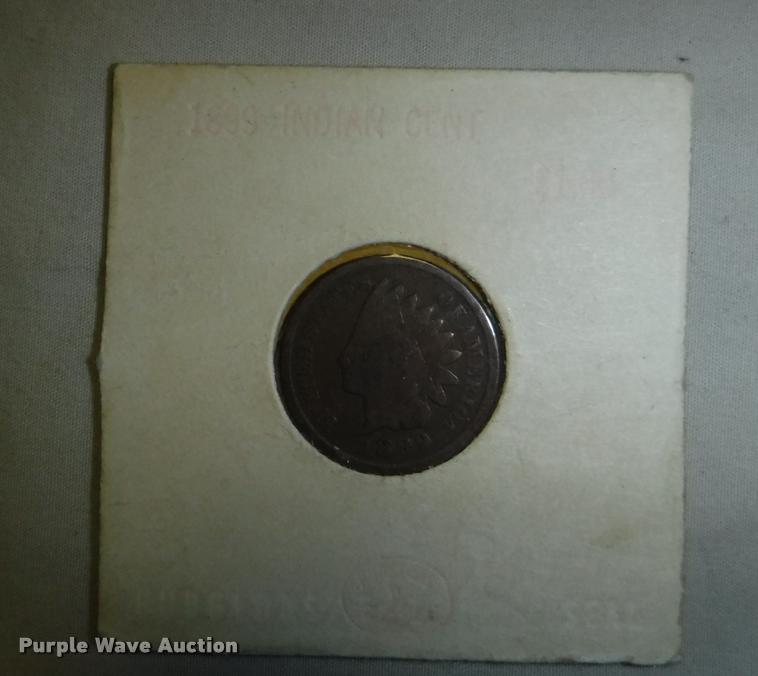 image for item CA9574 (9) Indian Head pennies