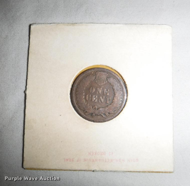 image for item CA9574 (9) Indian Head pennies