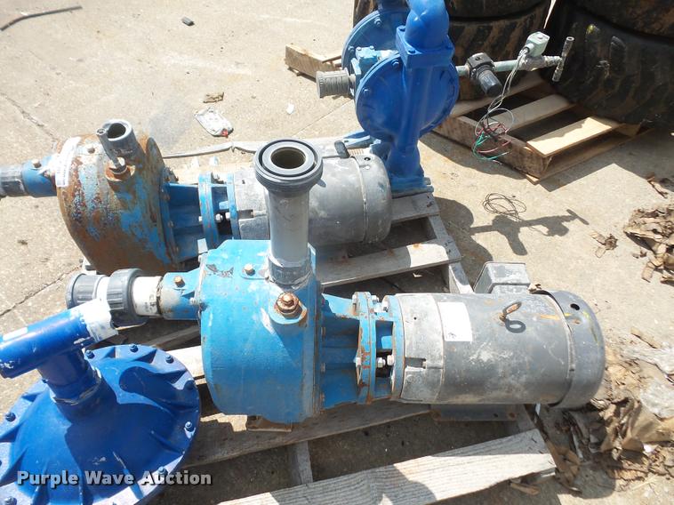 image for item DK9394 (3) pumps