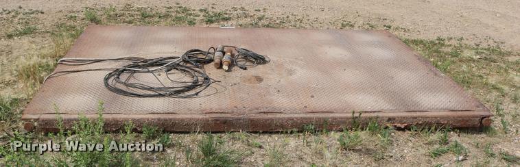 image for item DM9392 Platform scale