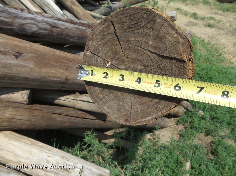 image for item DC3963 Fence posts