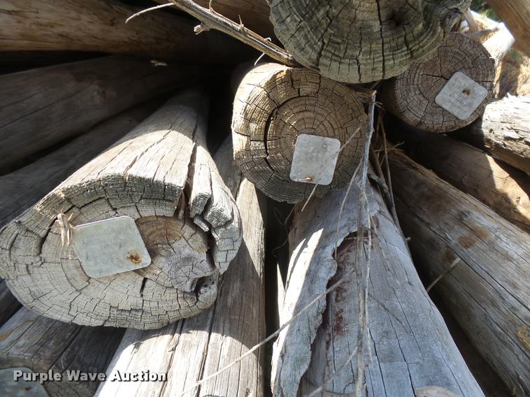 image for item DC3963 Fence posts