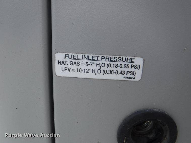 image for item BY9861 Generac Guardian 0055030 generator