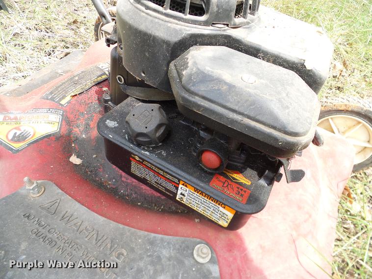 image for item DG9997 (7) push mowers
