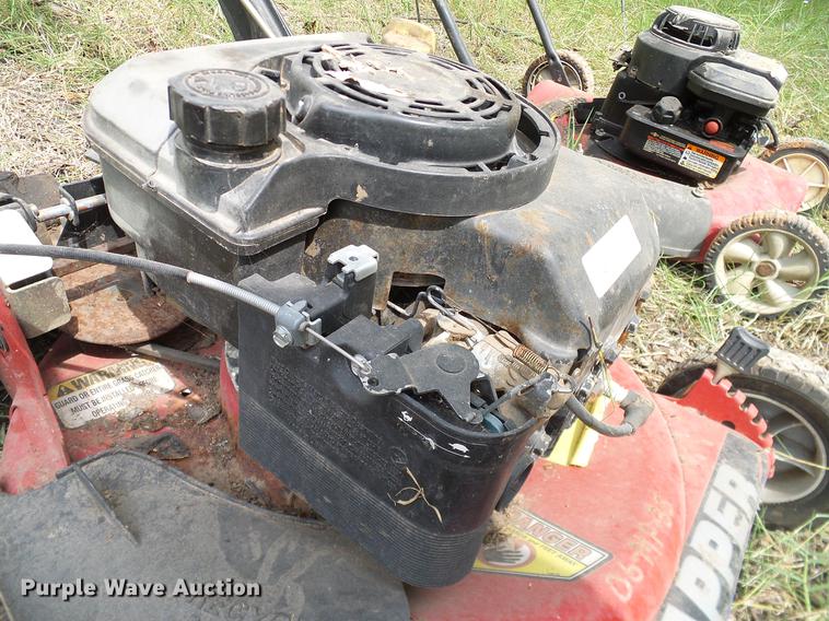 image for item DG9997 (7) push mowers