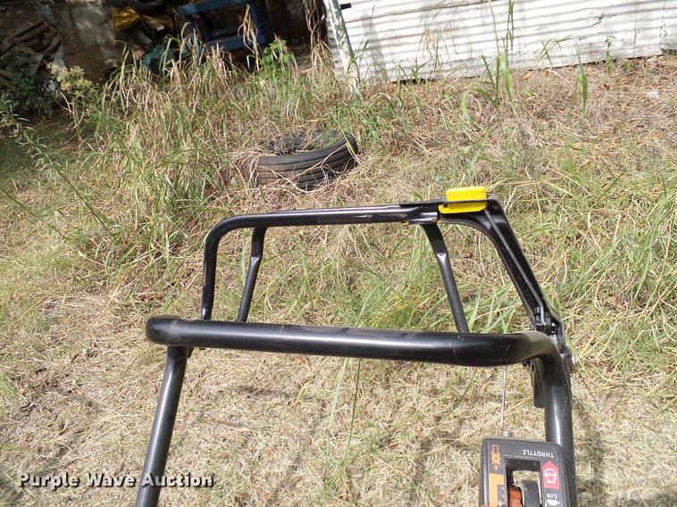 image for item DG9997 (7) push mowers