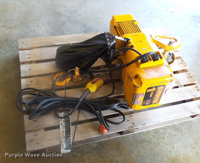 image for item DD2093 Herrington trolley hoist