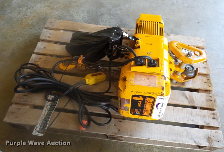 image for item DD2093 Herrington trolley hoist