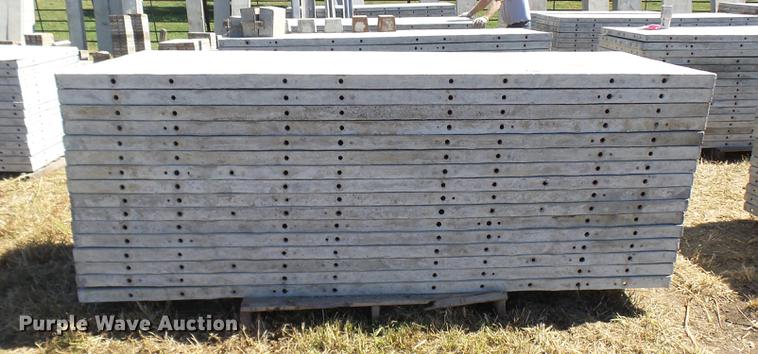 image for item DP9667 (16) aluminum wall concrete forms