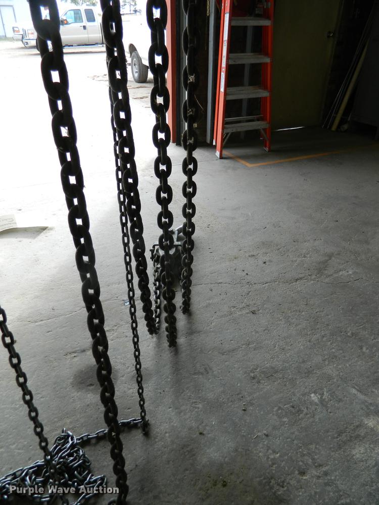 image for item DB1156 Wright chain hoist