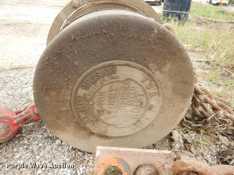 image for item DS9906 Wright two ton high speed hoist