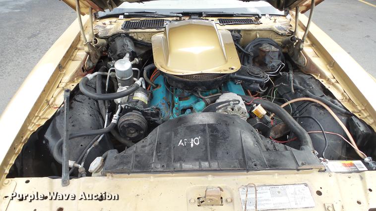 image for item DC2501 1979 Pontiac Trans Am