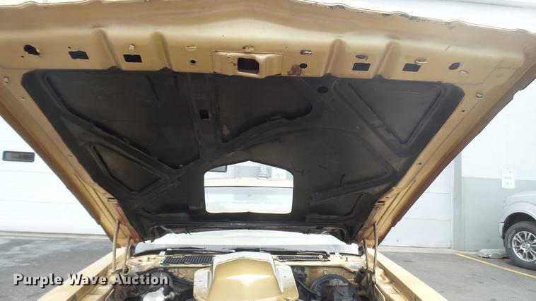 image for item DC2501 1979 Pontiac Trans Am