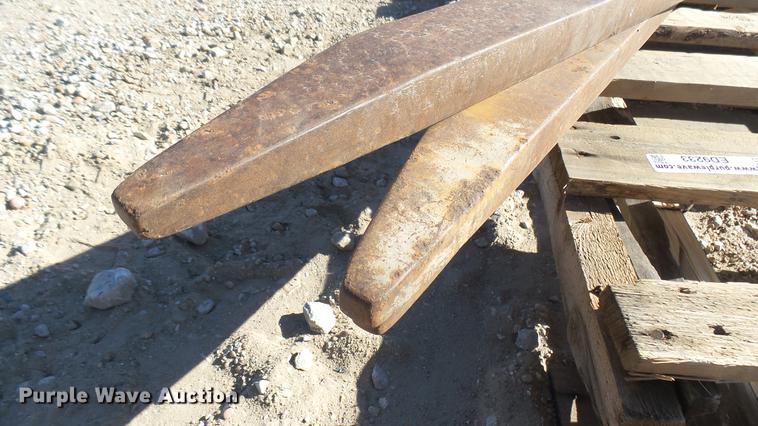 image for item ED9233 (3) 48"L forks