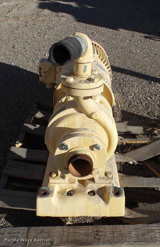 image for item BJ9900 Gould pump