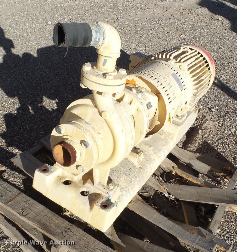 image for item BJ9900 Gould pump