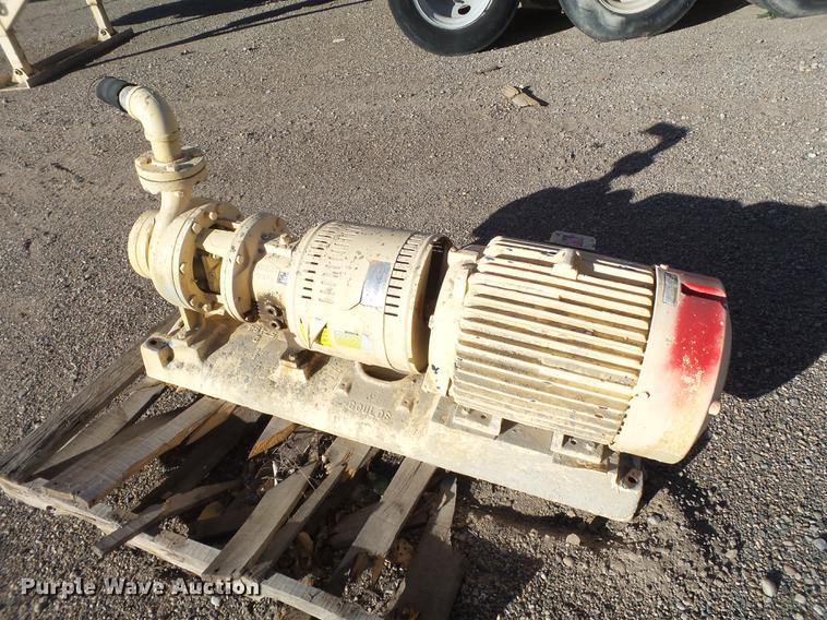 image for item BJ9900 Gould pump