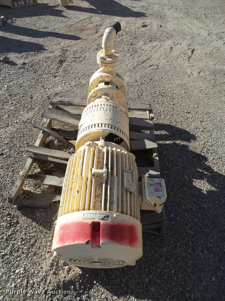 image for item BJ9900 Gould pump