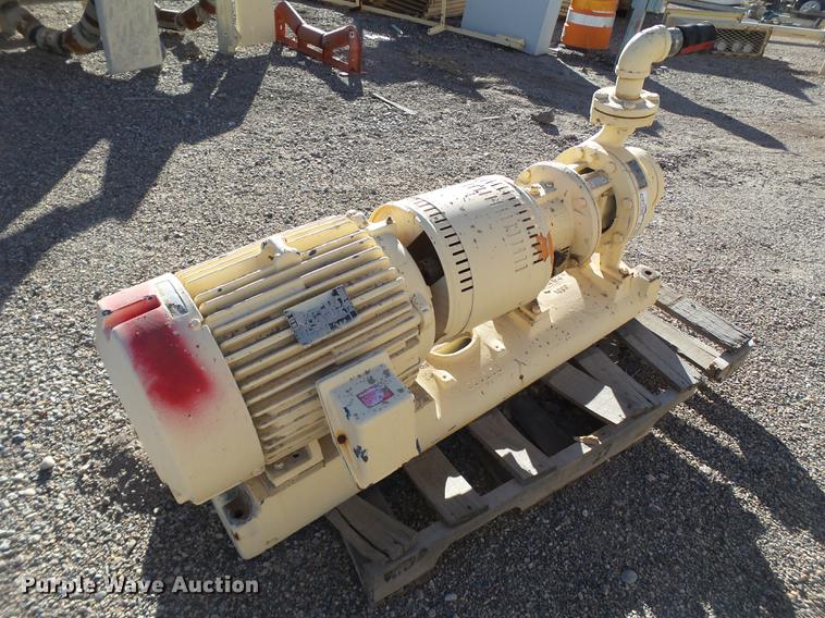image for item BJ9900 Gould pump