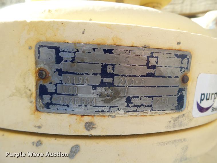 image for item BJ9900 Gould pump