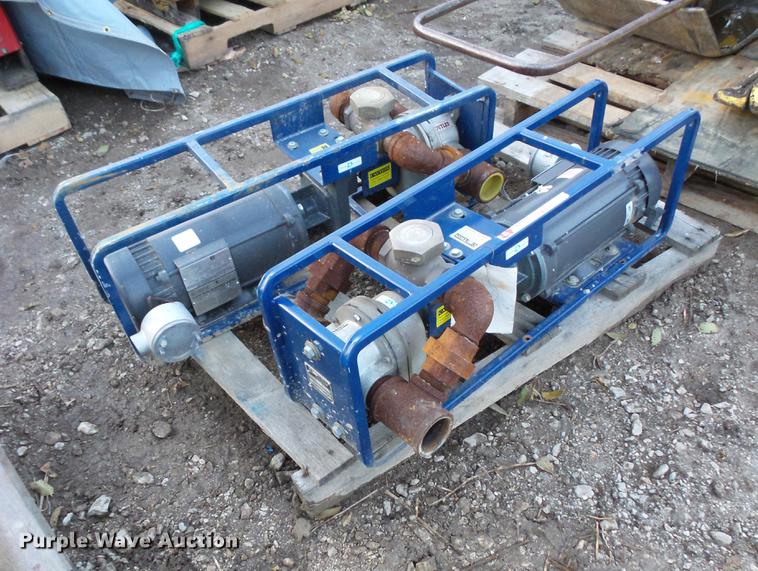 image for item EA9580 (2) Dismas 3101 transfer pumps