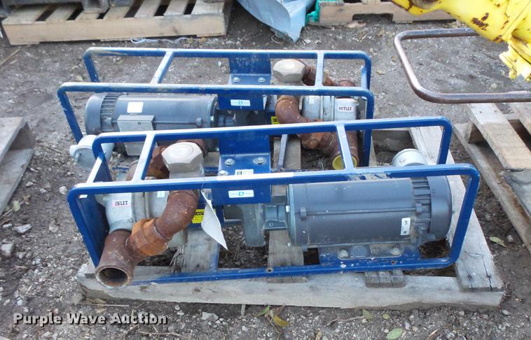 image for item EA9580 (2) Dismas 3101 transfer pumps