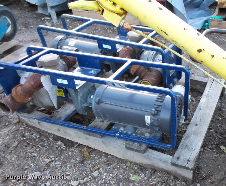 image for item EA9580 (2) Dismas 3101 transfer pumps